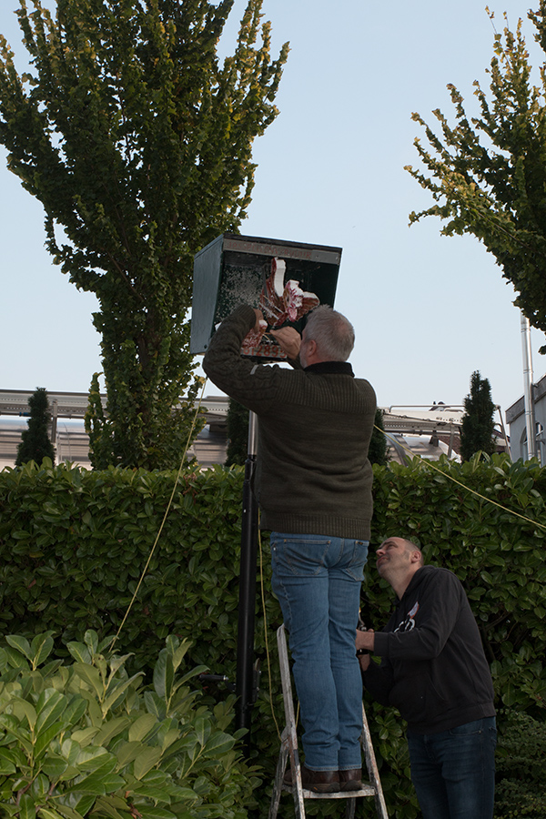 EOS 70D__2025_09_27_00067568