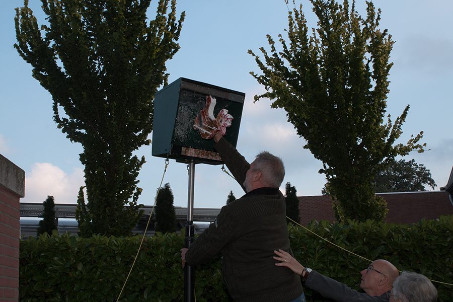 EOS 70D__2025_09_27_00067584