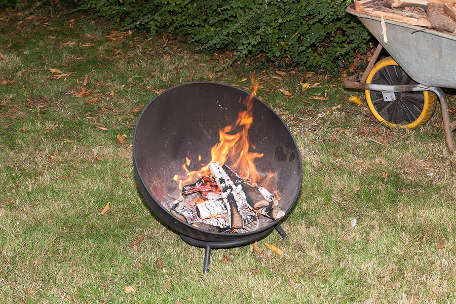 EOS 70D__2025_09_27_00067650